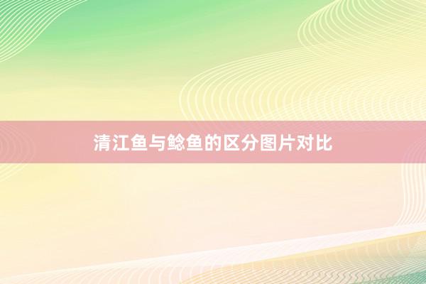 清江鱼与鲶鱼的区分图片对比