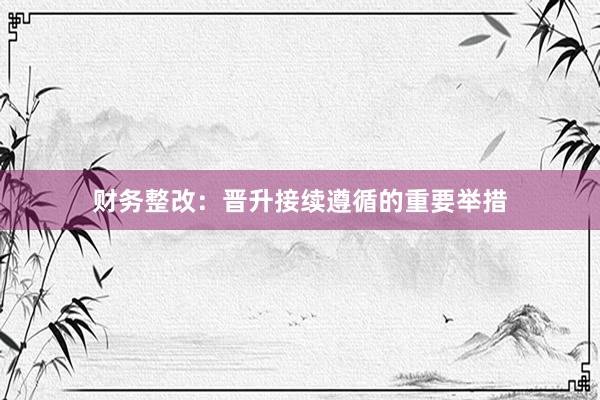 财务整改：晋升接续遵循的重要举措